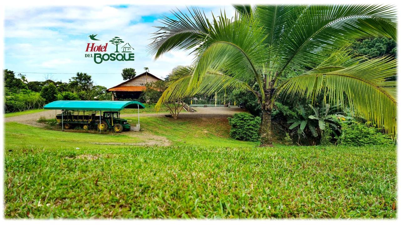 Hotel Del Bosque Rio Cuarto Экстерьер фото