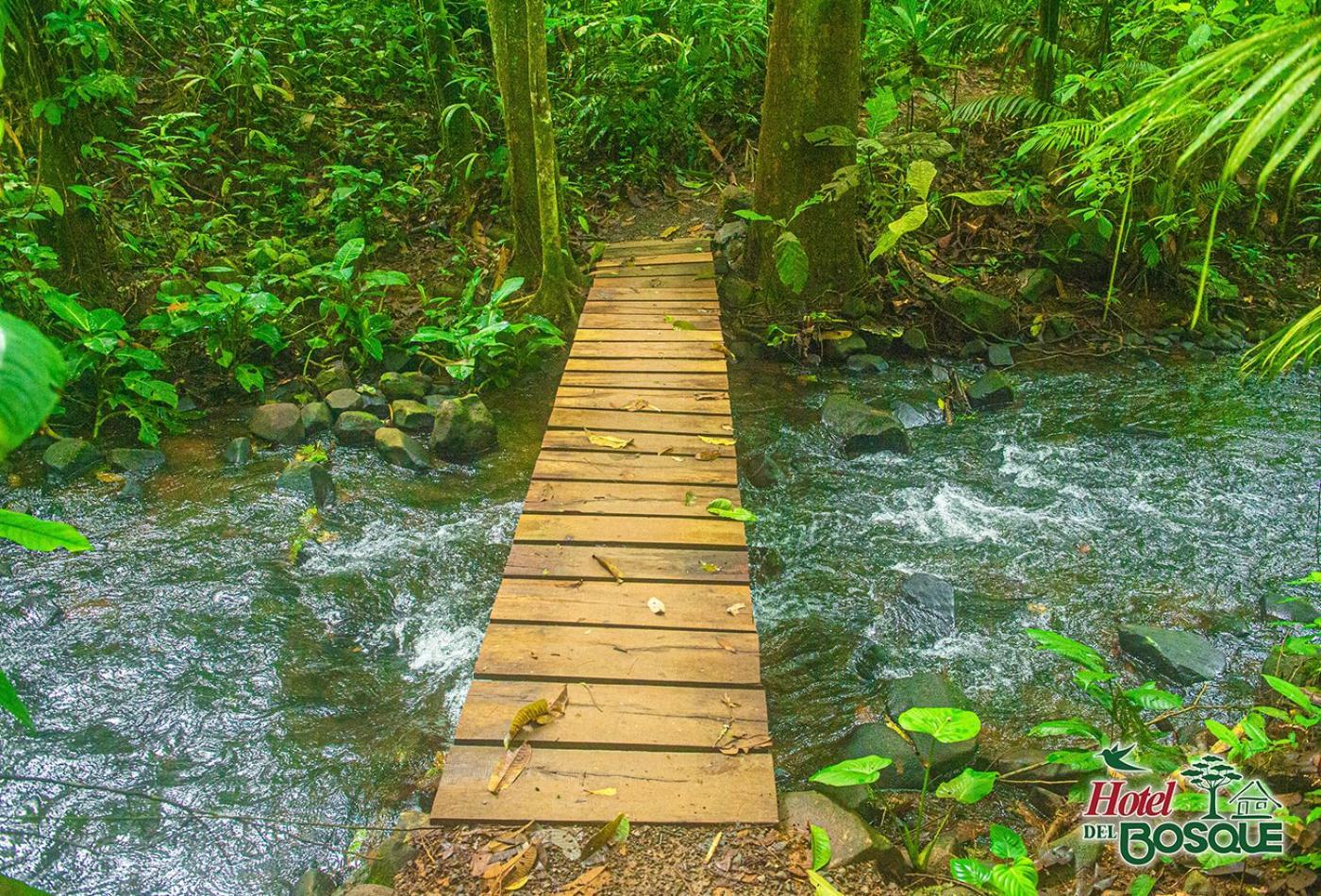 Hotel Del Bosque Rio Cuarto Экстерьер фото