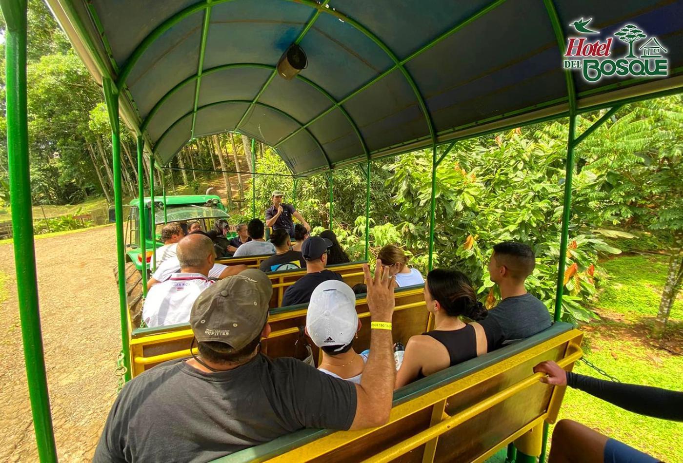 Hotel Del Bosque Rio Cuarto Экстерьер фото