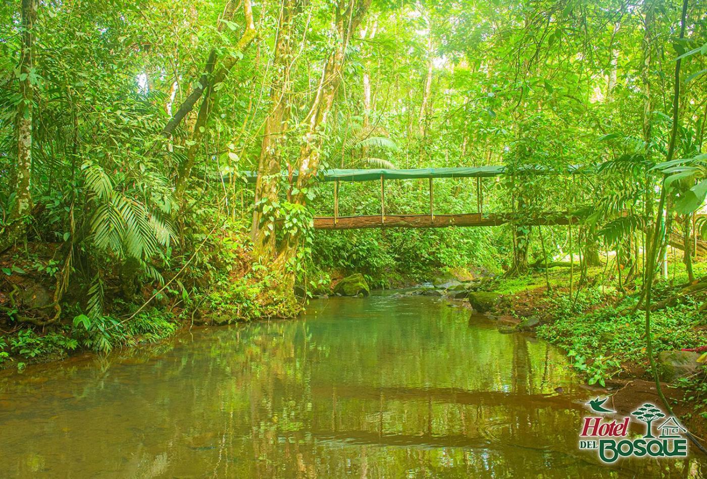 Hotel Del Bosque Rio Cuarto Экстерьер фото