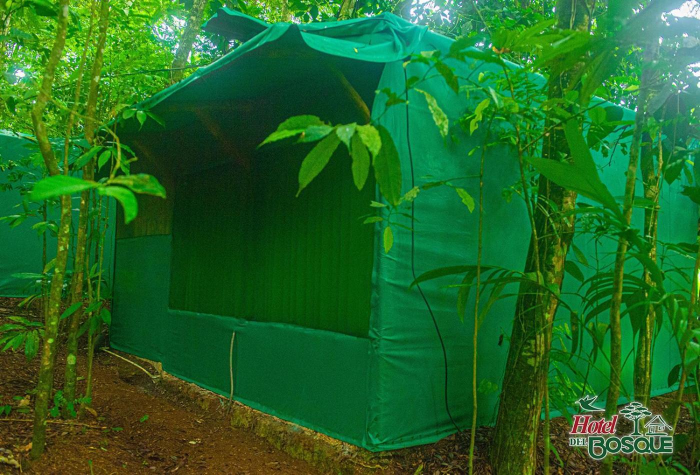 Hotel Del Bosque Rio Cuarto Экстерьер фото