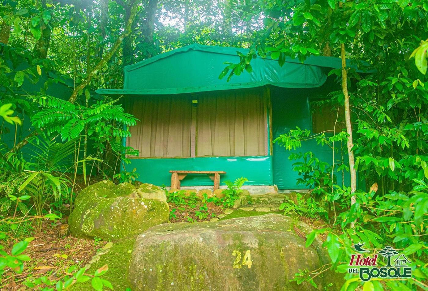 Hotel Del Bosque Rio Cuarto Экстерьер фото