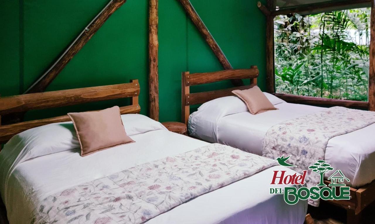 Hotel Del Bosque Rio Cuarto Экстерьер фото